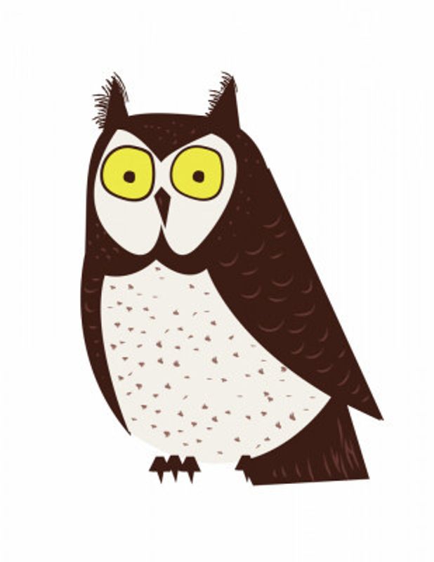 Stylized Cartoon Owl