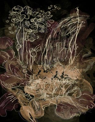 Orchid Bloom Midnight Mocha