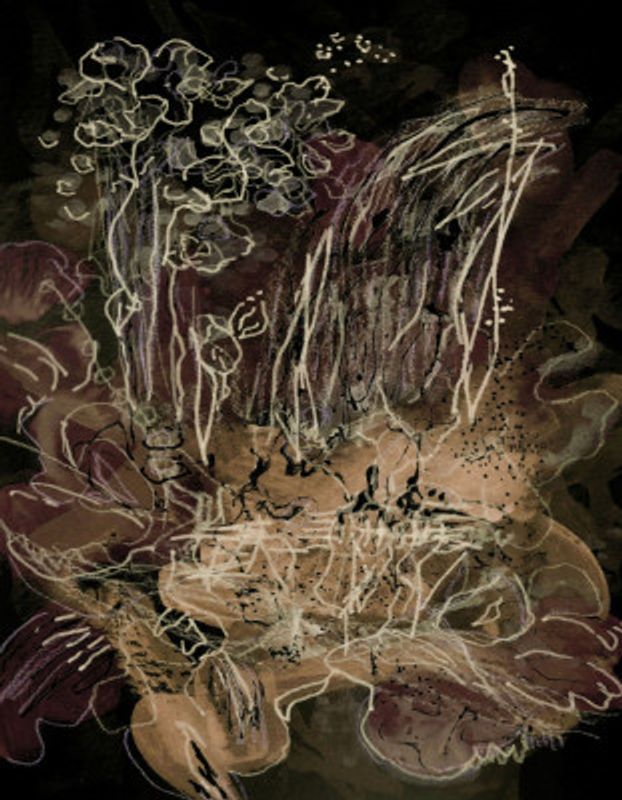 Orchid Bloom Midnight Mocha