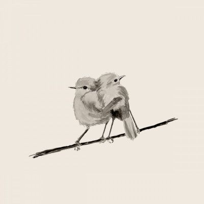 Two Birds Perched Closely on a Branch