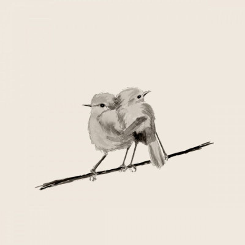 Two Birds Perched Closely on a Branch