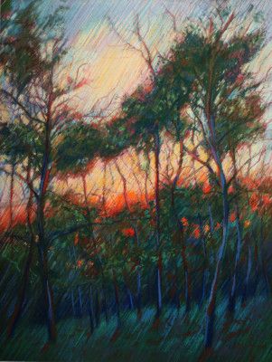 Hatertse Vennen (Hatert Meres) 09 (2014)