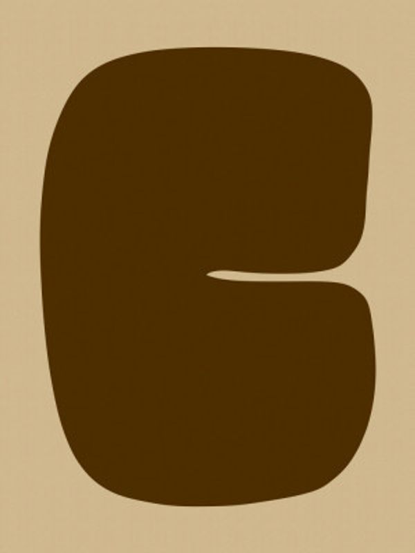 Bold Brown Form