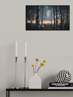 Enchanted Glow Forest