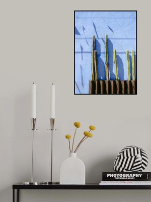 Tall Cacti | Oaxaca Mexico travel photography