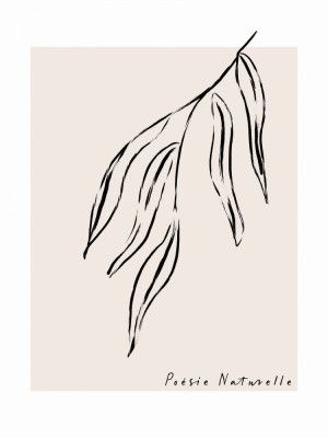 Graceful Leaf Sketch