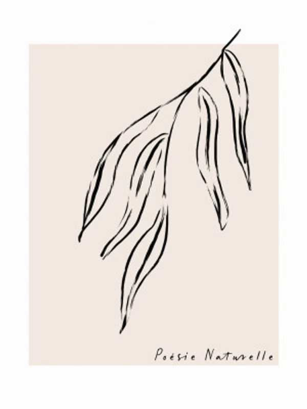 Graceful Leaf Sketch