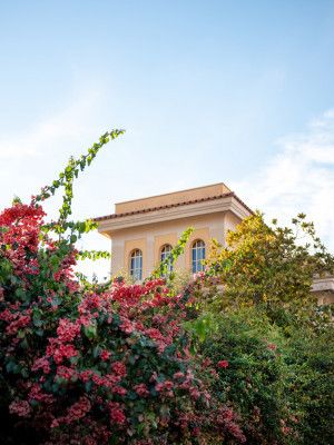 La Dolce Vita | Amalfi Coast Italy
