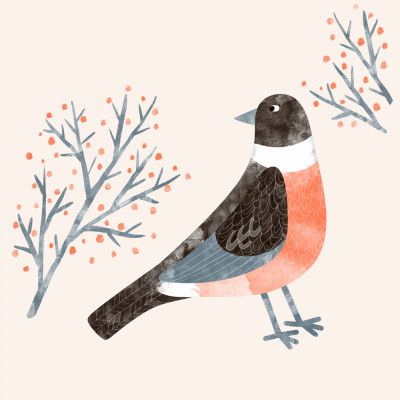 Chirpy Winter Scene