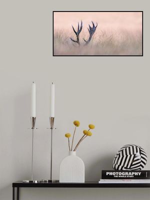 Hide &amp; Seek  ( Horn of Stag)