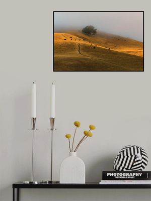 A Summer Morning in TriValley