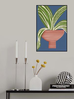 Modern Home Plant