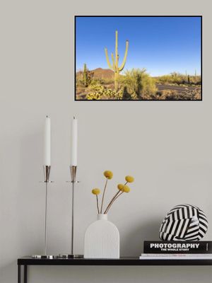SAGUARO NATIONAL PARK Scenic impression