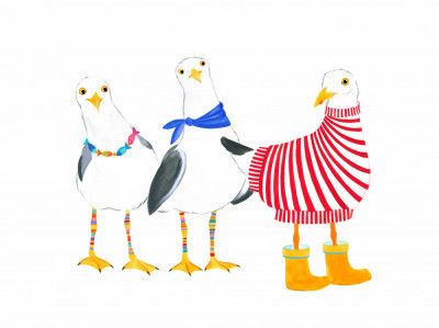 Seagull Fashion Parade