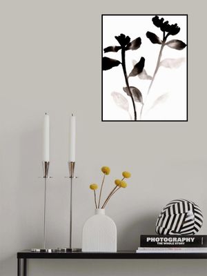 Sumi Fading Flowers I