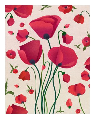 Poppy Blossoms