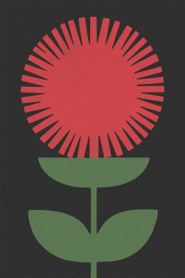 Crimson Blossom Burst