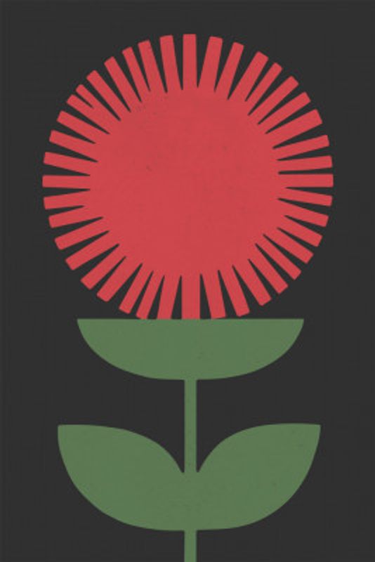 Crimson Blossom Burst