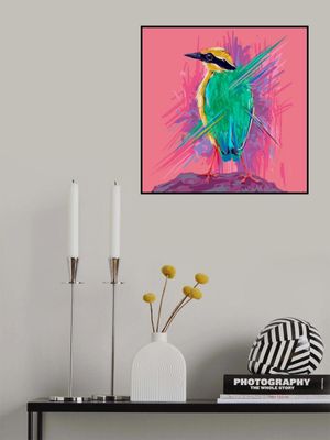 Bird Series   Indian Pitta