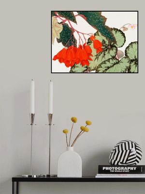 Cracklin Rosie Begonia Flower No.2