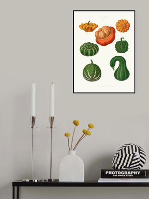 Ornamental Gourds From Album Benary (1876 1886) By Ernst Benary