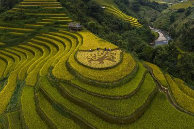 Mu Cang Chai - VietNam