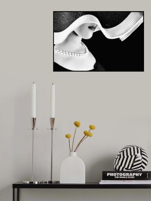 Orbites of the Venus