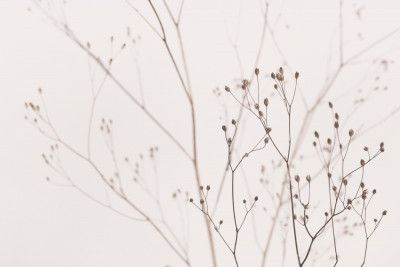 Wildflowers Natural Beige