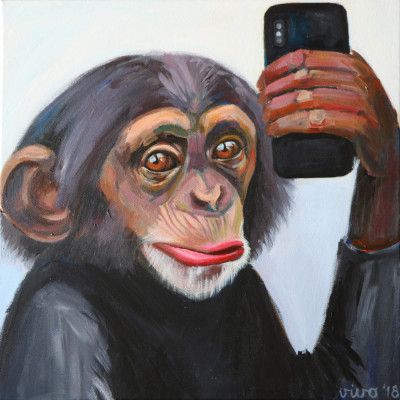 Chimp's Selfie Moment