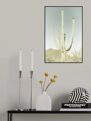 SAGUARO NATIONAL PARK Vintage Giant Saguaro