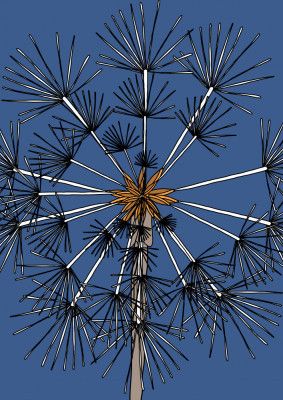 A Stylized Dandelion
