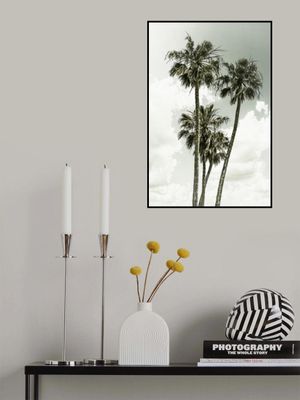 Palm Trees and sky | Vintage