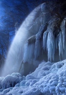 Frozen in the moonlight
