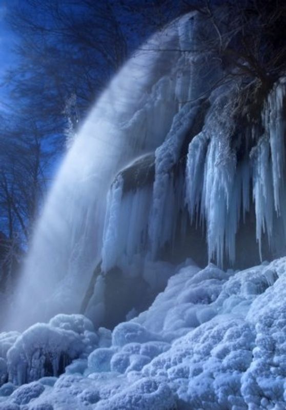 Frozen in the moonlight