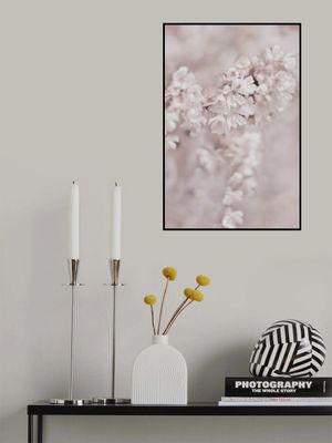 Delicate Cherry Flowers in Soft Focus