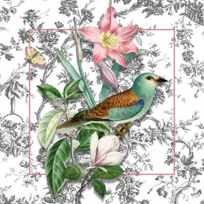 A Vintage Collection