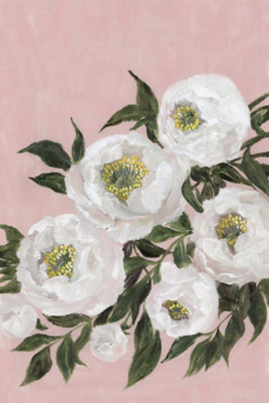 Evadne peonies in pink