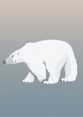 Polar Bear