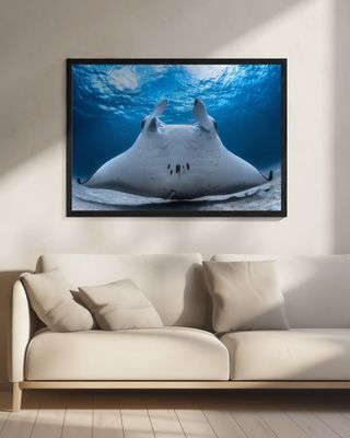 Take Off / Manta Airline