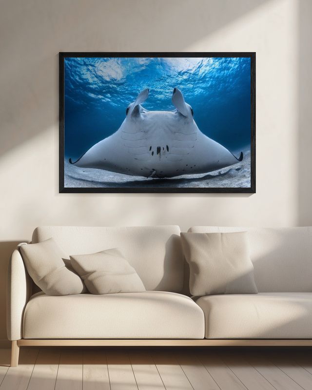 Take Off / Manta Airline