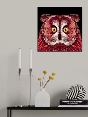 Bird Series   Owl 4