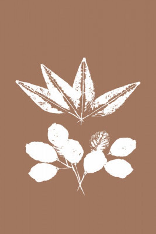 Botanical Silhouettes