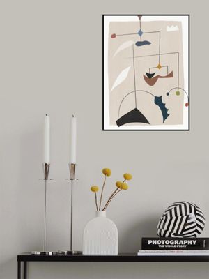 Geometric Shapes and Organic Lines