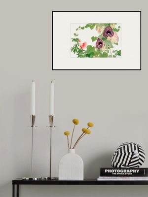 Albizia & Aristolochia Flower