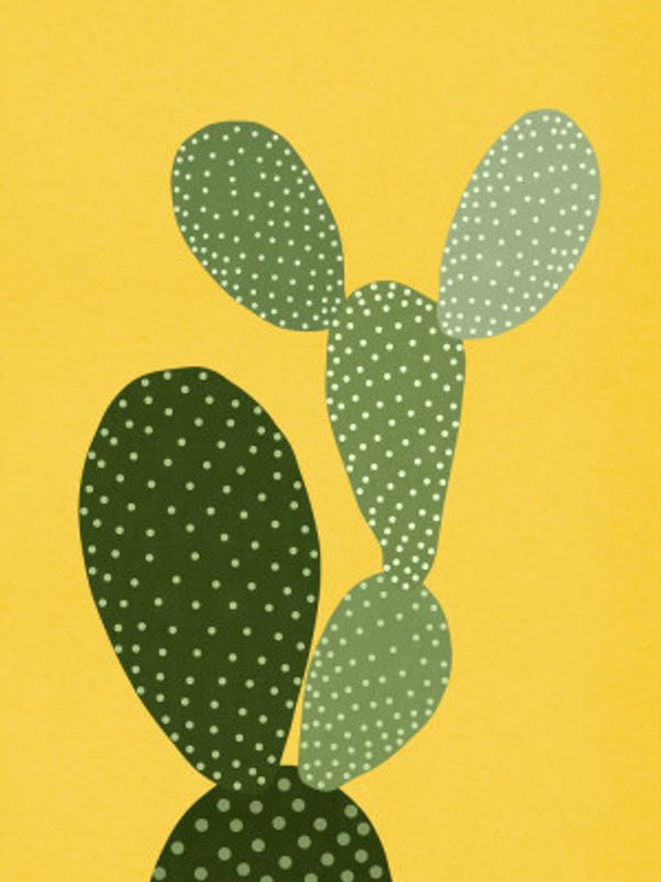 Cactus 1