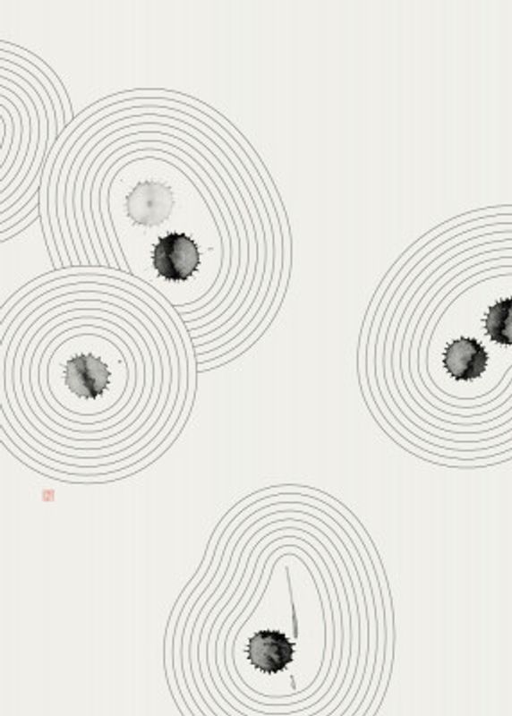 Accidental Zen Garden N°2