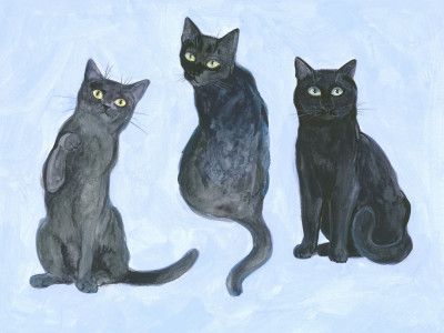 Three Cats study
