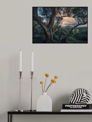 Roar from the ground