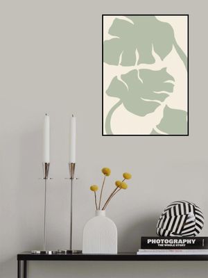Monstera Sage Green