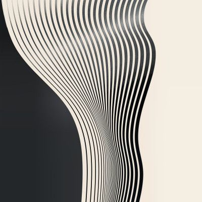 Wavy Lines In A Black And White Color Scheme